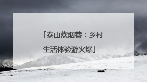 泰山炊烟巷：乡村生活体验游火爆